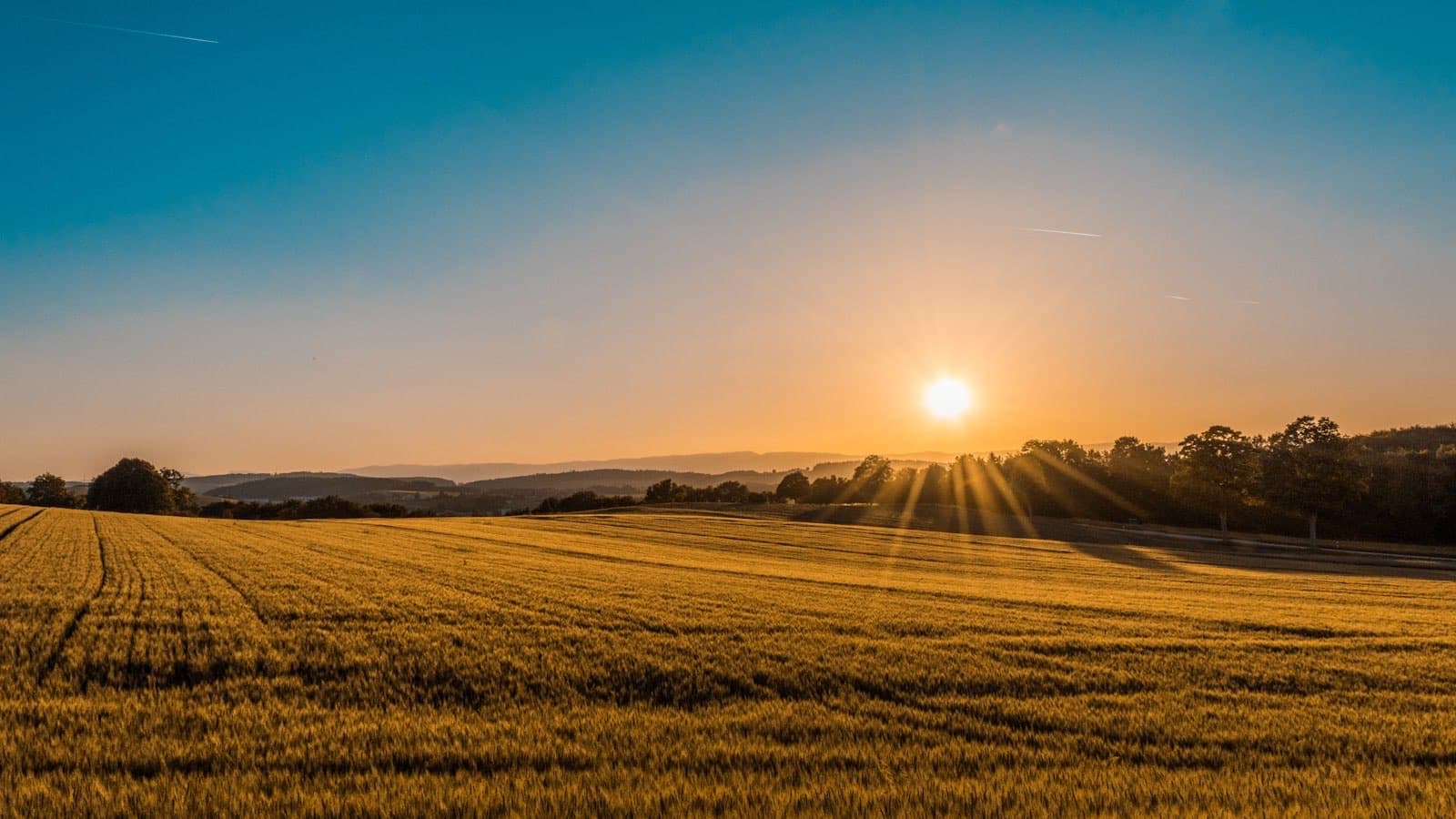 California ranch landscape